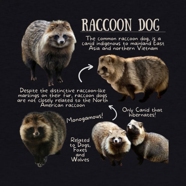 Animal Facts - Raccoon Dog by Animal Facts and Trivias